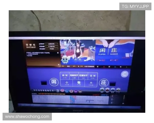 开云完美体育百家乐官网：畅游多样化的百家乐游戏新体验分享