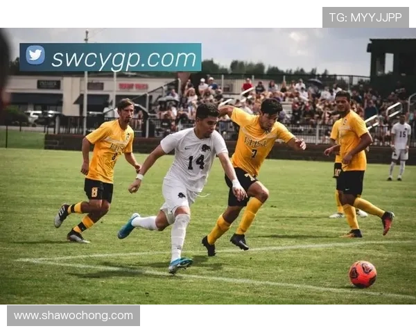 开云体育手机版多种赛事直播与高清画质，提升你的观赛体验感受