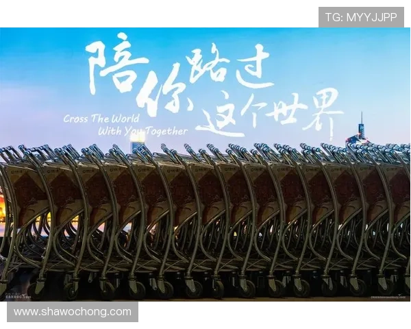 开启奢华购物之门，开云官网官网登录入口全面指南介绍